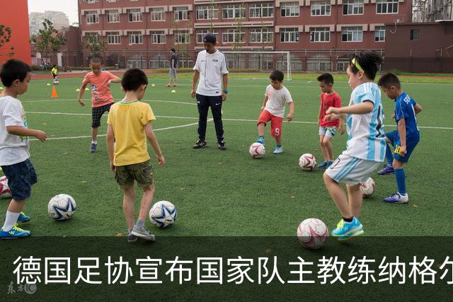 德国足协宣布国家队主教练纳格尔斯曼辞职